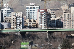 رویداد بذر طلایی